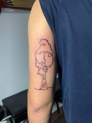 Redwood tree tat.