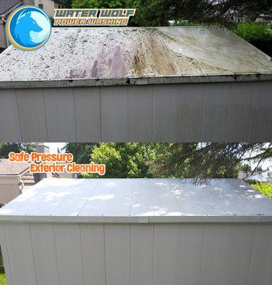 Exterior low pressure cleaning: Homes, Sheds, Condos, Garages, Apartment Complexes, Commercial Buildings.