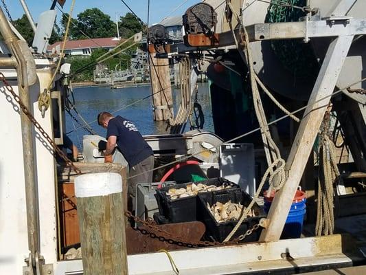 We watched the local fishermen unload their catch.