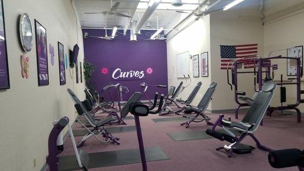 Curves Circuit