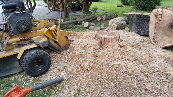 Stump Grinding