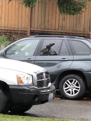 One of their customers cars that has been sitting out for 3 weeks and someone busted one of the windows out several days ago.