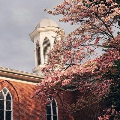 Shiloh's Bell Tower