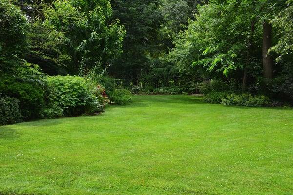 Natural lawn care and organic fertilization.