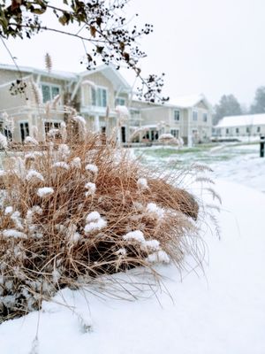 Snow falling at the Claggett Center outside Christianne Inn