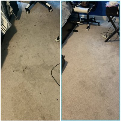 This was a big difference. The carpet looked new!