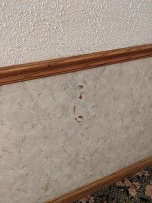 Stains and damaged walls throughout