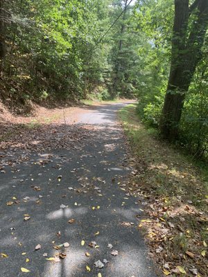 Friends of Memorial Lake and Swatara State Parks