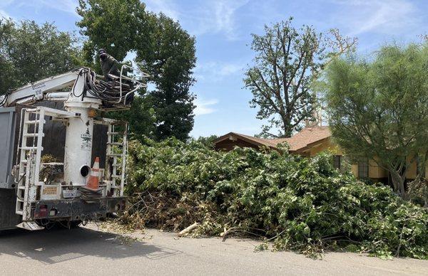 They took out so much material (foreground), you can barely see my house behind it. Two of the trimmed trees are in the background.