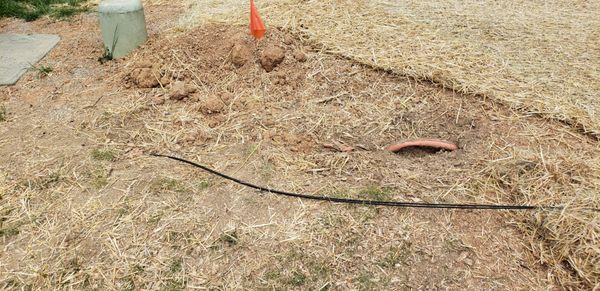 The severed conduit in the neighbor's yard.