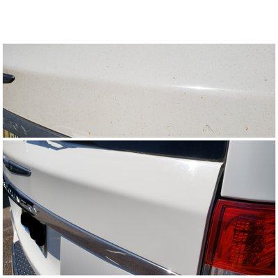 West Michigan Auto Detailing