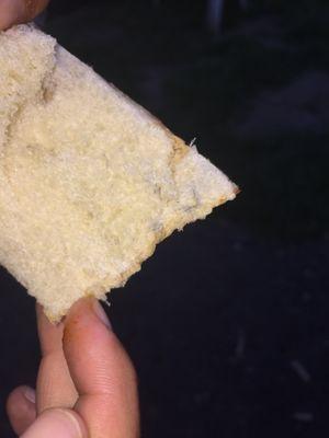 Moldy Bread