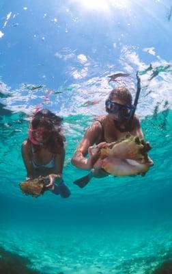 Snorkeling in the Caribbean!