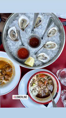 East coast oysters, seafood and okra gumbo