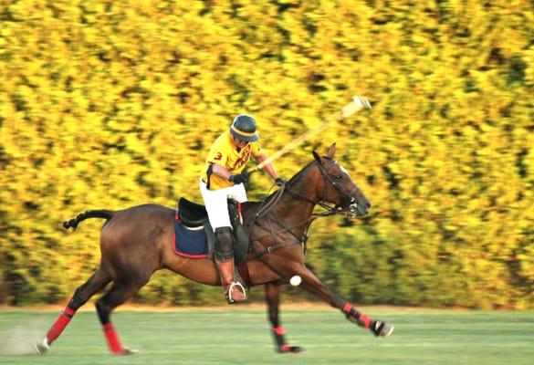 Beautiful views at Saratoga Polo Association