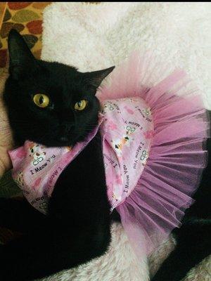 Mon make this beautiful dress for my cat Mafalda...