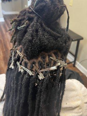 Retwist (No Style)