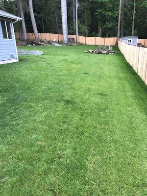 Lawn maintenance