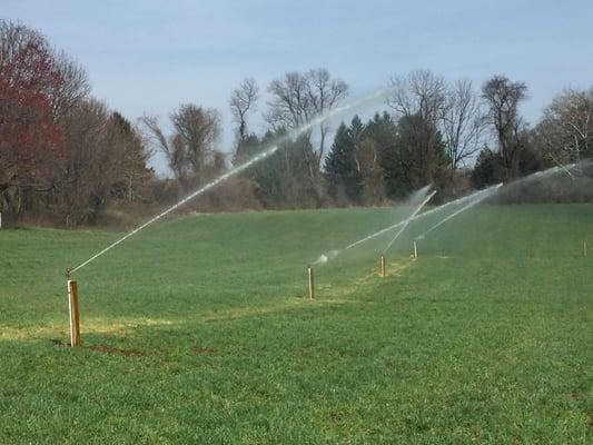 On this Project We Collected the Waste Water from a mushroom plant in Chester County, PA and installed an Irrigation system t...