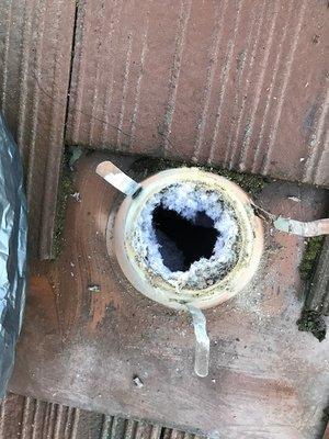 Dryer vent cleaning.