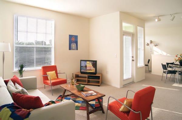 Spacious living area at Springs at Bloomingdale Apartments in Brandon, FL