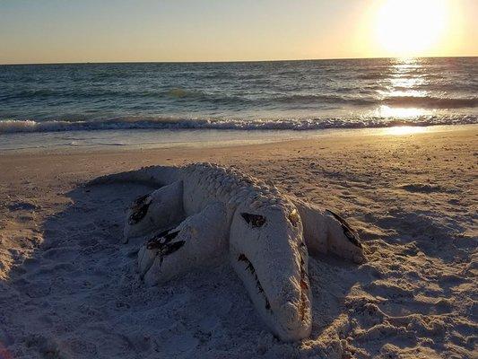 Sand Sculpting