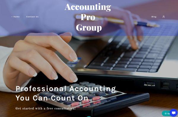 Accounting Pro Group