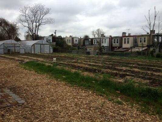 This is their High Tunnel Systems and their urban space transformed into a useful urban FARM!