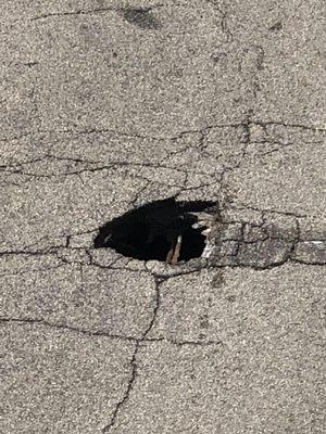 Yes it is a pothole, be careful crossing this street!!!