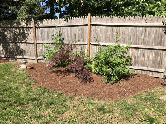 Colorado Landscaper