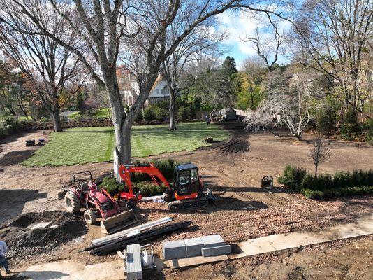 Guzman Tree Removal