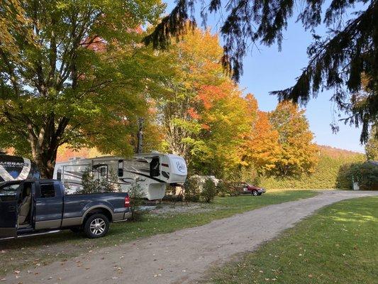 The trailer sites are situated under beautiful, mature trees.