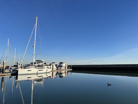 Guest Dock.