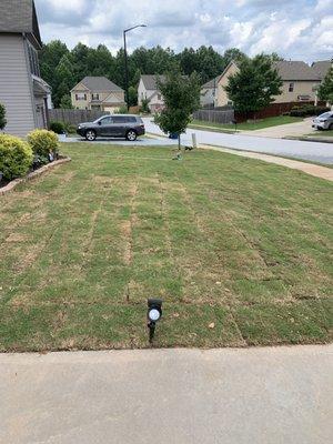 Sod install