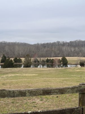 Tamarack Stables Rivers Edge