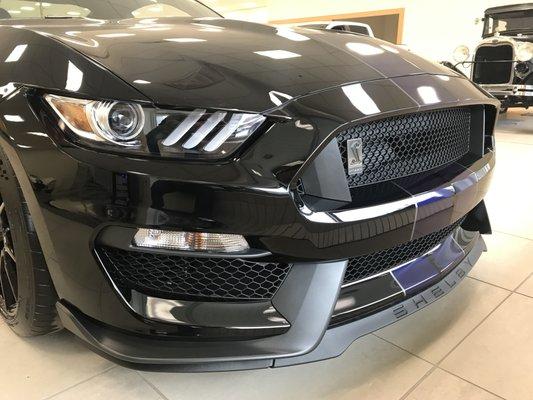 2019 GT350