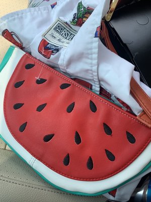 Watermelon Purse