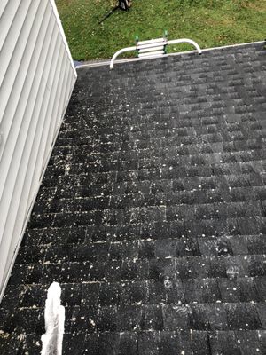 Soft Wash Roof Cleaning (Before)