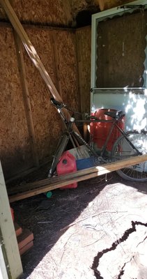 Shed/Junk Removal