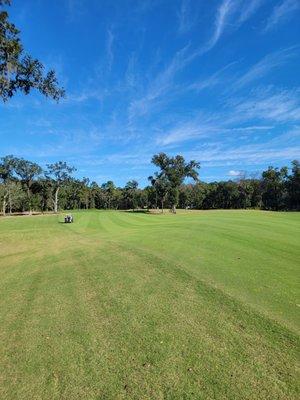 Fairway number five.