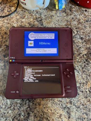 A dsi that I bought. Comes with stock system, but I later jailbroke it myself.