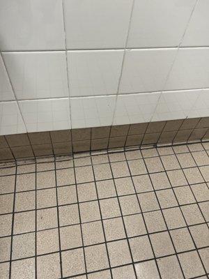 Nasty tile & grout!