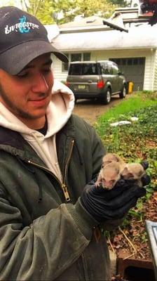 Our technician who just helped retrieve these little guys from the walls of a customers home