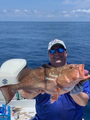 27 inch Red Grouper