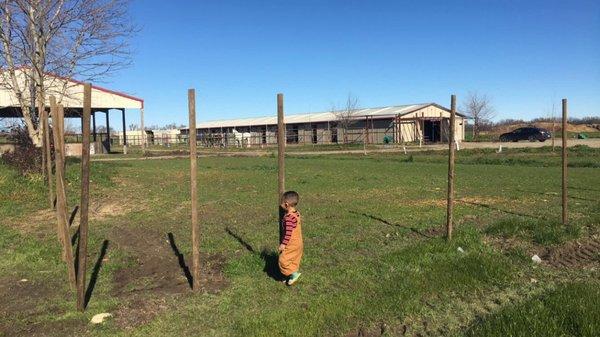 Willow Creek Horse Park