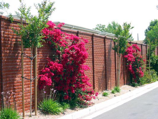 OldBrick Precast Fence