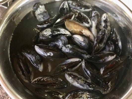 Black Mussels