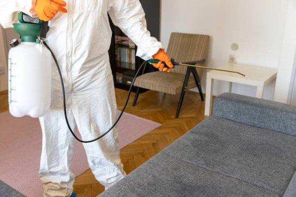 We tailor our bed bug control approach to fit your specific needs and the level of infestation, ensuring the most effective results.