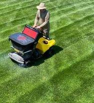 Mr. Lawn's natural bug spray treatment being applied to a weed free and green lawn.