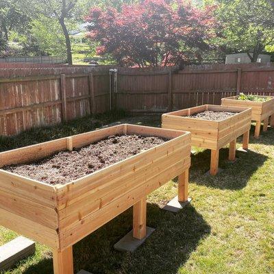 Elevated Garden Beds